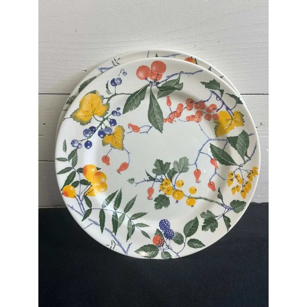 Crate & Barrel Italy Berry Botanical Dinner Plates Set of 2 White Ceramic 10.75